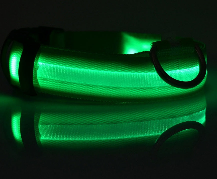 Light up nylon dog collar shown in several colours